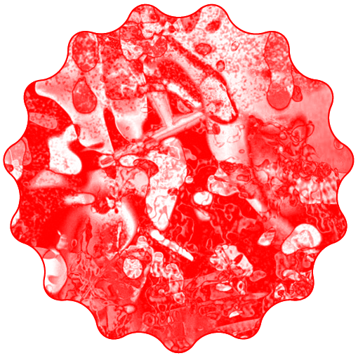 TARANTULA